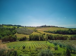 Images for Villa San Quirico, Montespertoli, Tuscany