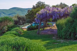 Images for Chianti Farmhouses, Volpaia, Chianti region, Tuscany