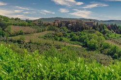 Images for Chianti Farmhouses, Volpaia, Chianti region, Tuscany