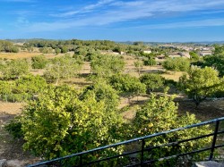 Images for Equestrian Estate, Lloret de Vistalegre, central Mallorca