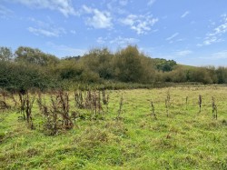 Images for Burcott Lane, Burcott, Somerset