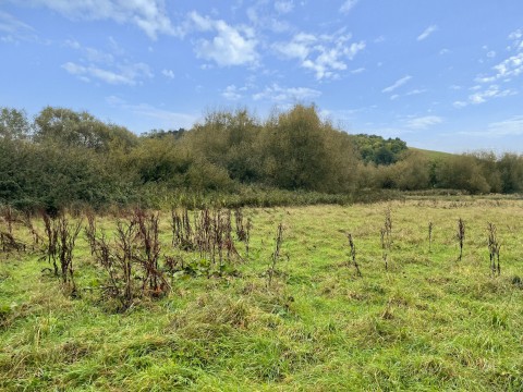 Click the photo for more details of Burcott Lane, Burcott, Somerset