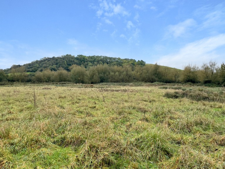 Images for Burcott Lane, Burcott, Somerset