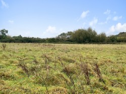 Images for Burcott Lane, Burcott, Somerset