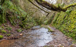 Images for Coombe Lane, East Harptree, Bristol