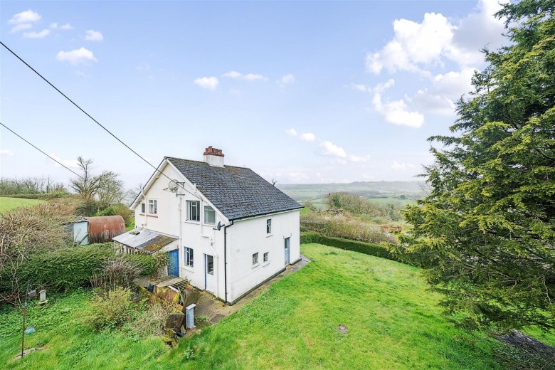 Click the photo for more details of Wick, Honiton