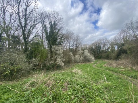 Click the photo for more details of Land at Cattistock Road, Maiden Newton