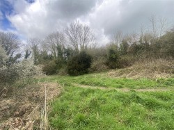 Images for Land at Cattistock Road, Maiden Newton