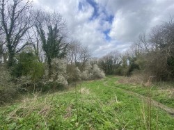 Images for Land at Cattistock Road, Maiden Newton