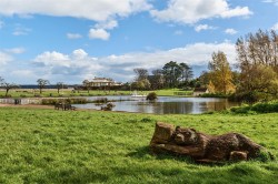 Images for Youngs Park Road, Paignton