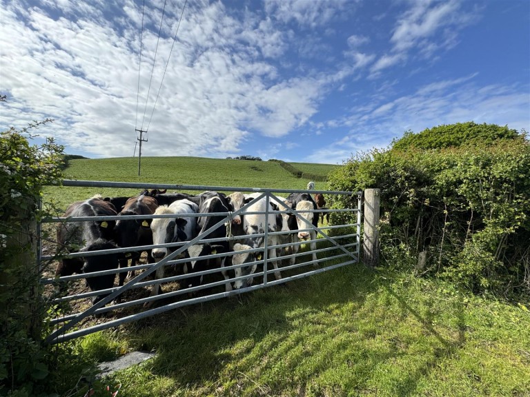 Images for Little Woolgarston Farm, Corfe Castle, Wareham