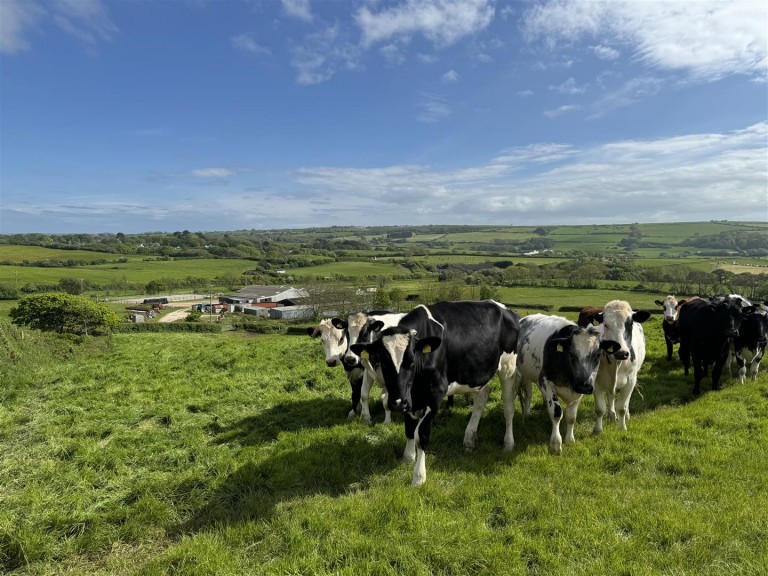 Images for Little Woolgarston Farm, Corfe Castle, Wareham