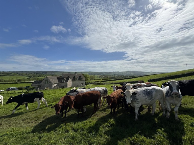 Images for Little Woolgarston Farm, Corfe Castle, Wareham