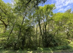 Images for Longburton, Sherborne, Dorset