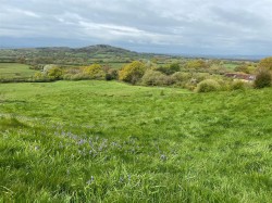 Images for Foyle Hill, Shaftesbury