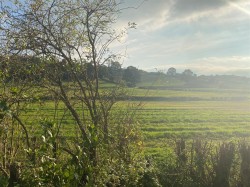 Images for Love Lane, Ilminster