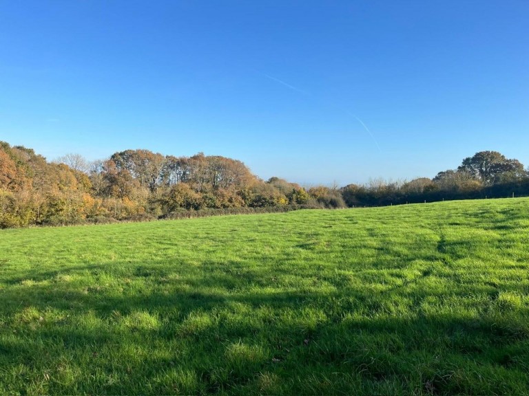 Images for Hare Lane, Buckland St Mary, Chard