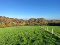 Images for Hare Lane, Buckland St Mary, Chard