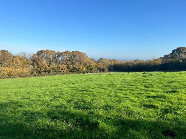 Images for Hare Lane, Buckland St Mary, Chard