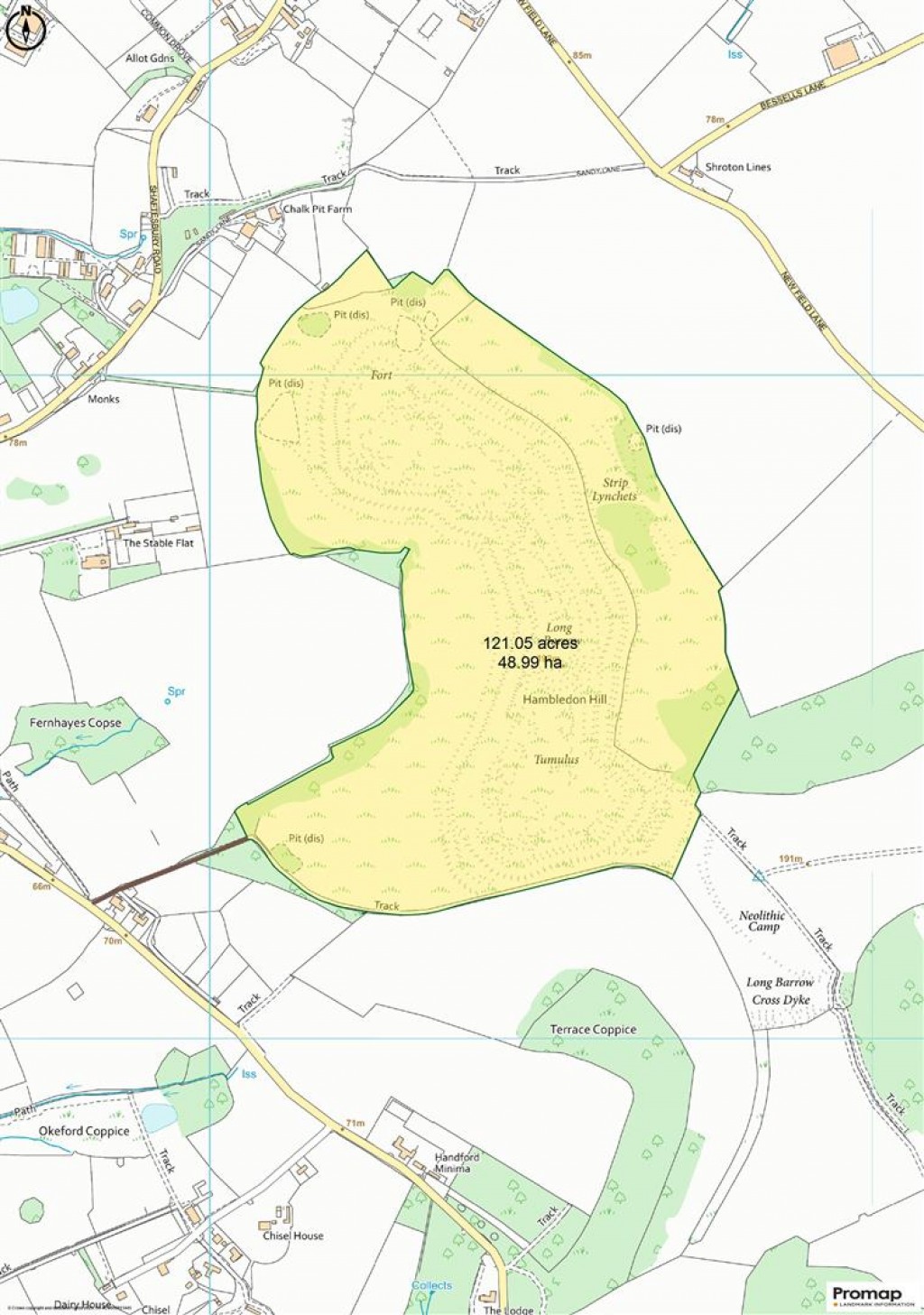 Floorplans For Hanford, Blandford Forum