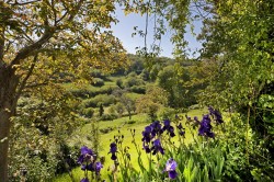 Images for Branscombe, Seaton