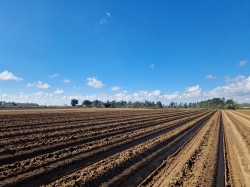 Images for Alderton, Suffolk Heritage Coast