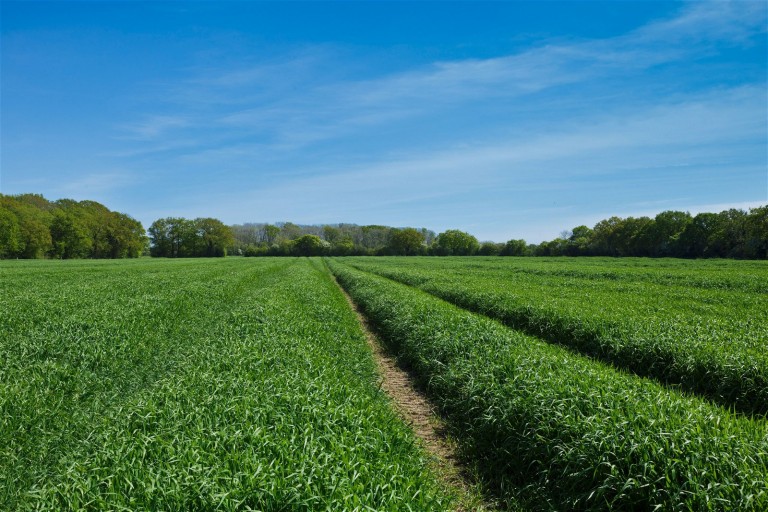 Images for The Blyford Estate, Nr Southwold