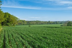 Images for The Blyford Estate, Nr Southwold