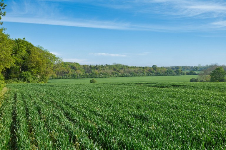 Images for The Blyford Estate, Nr Southwold