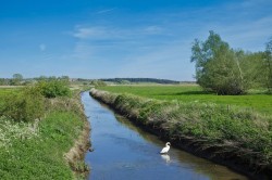 Images for The Blyford Estate, Nr Southwold