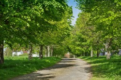 Images for The Blyford Estate, Nr Southwold