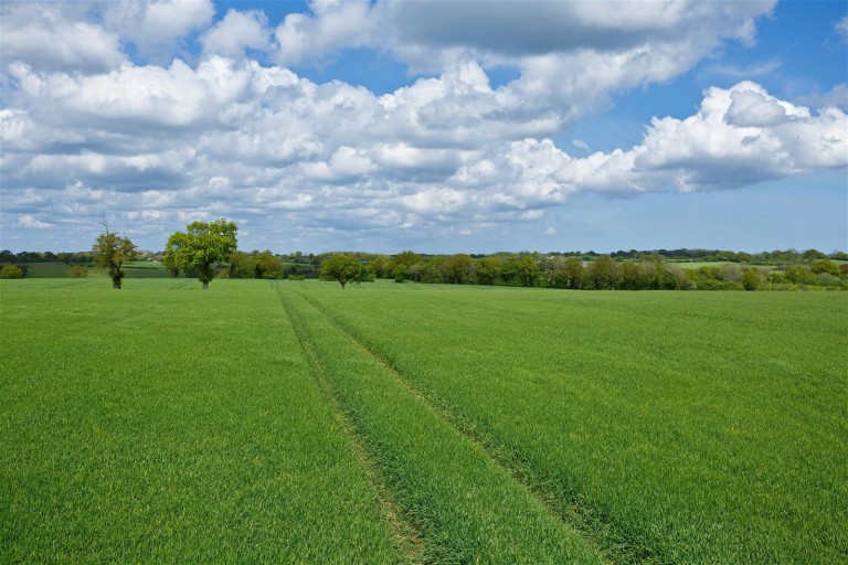 Images for The Chediston Estate, Nr Halesworth, Suffolk