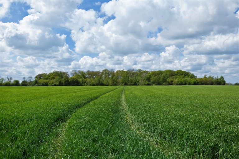 Images for The Chediston Estate, Nr Halesworth, Suffolk