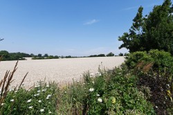 Images for California, Wickham Market, Suffolk 