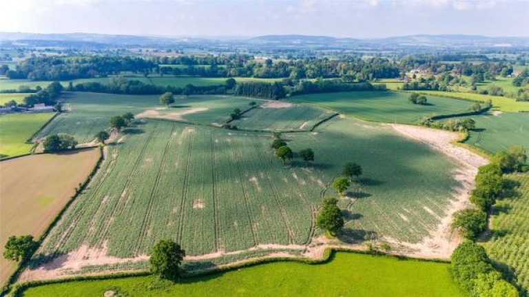 Images for Broxwood, Herefordshire