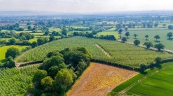 Images for Broxwood, Herefordshire