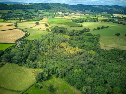 Click the photo for more details of Blakemere, Hereford, Herefordshire