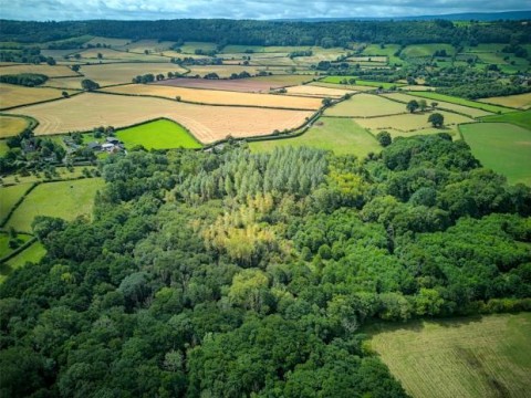 Click the photo for more details of Blakemere, Hereford, Herefordshire