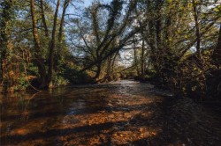 Images for Caynham, Ludlow, Shropshire