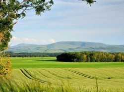 Images for Plot 1, Blackadder Bank, Nr Allanton, Berwickshire