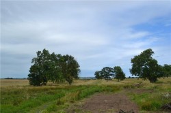 Images for Blackadder Bank Steading, Allanton, Duns, Scottish Borders