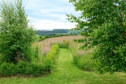 Images for Gateside Cottage, Forteviot, Perth, Perth and Kinross