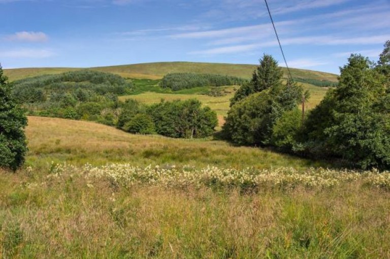 Images for Roman Road, Nine Mile Burn