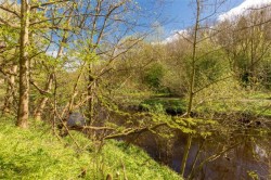 Images for Riverside Cottage, Coltbridge Gardens, Edinburgh, Midlothian