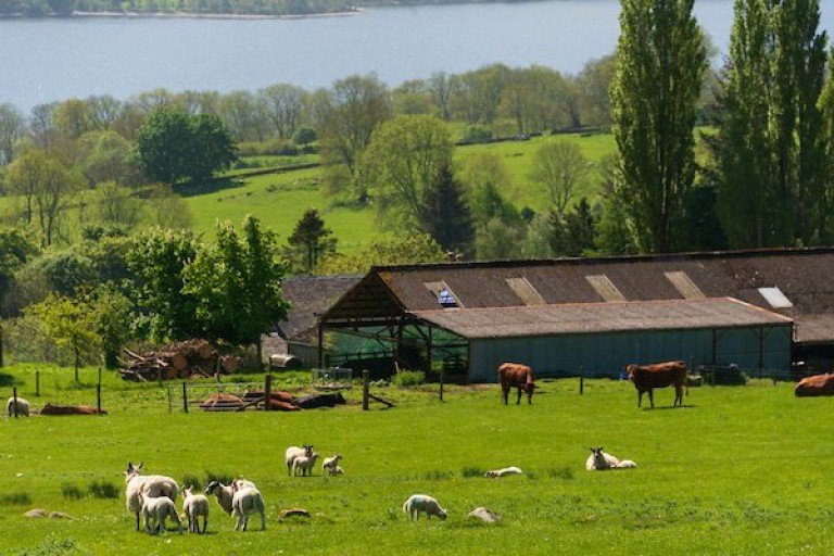 Images for Machuim Farm, Lawers, By Aberfeldy, Perthshire