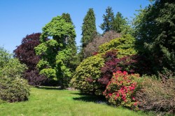 Images for Drumearn House, The Ross, Comrie, Perthshire