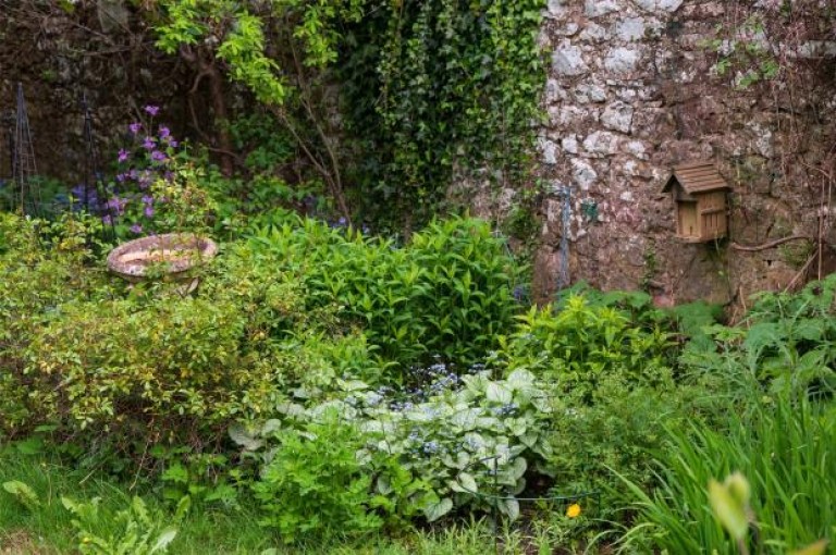 Images for Gifford Cottage, Main Street, Gifford, Haddington