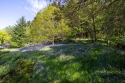 Images for Burnside, Aultbeag Road, Grandtully, Aberfeldy