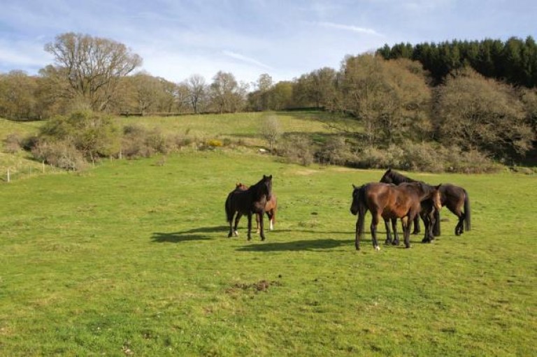 Images for Burnside, Aultbeag Road, Grandtully, Aberfeldy