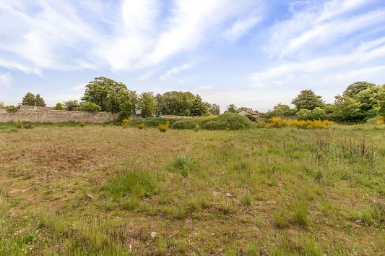 Images for The Walled Garden Development Site, Tealing, Dundee